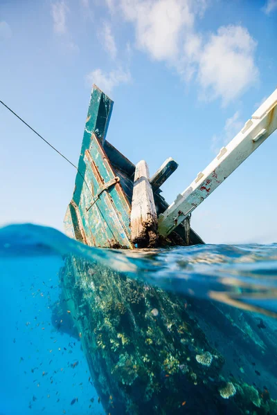 Navio Afundado Nas Maldivas Rodeado Por Peixes Tropicais — Fotografia de Stock