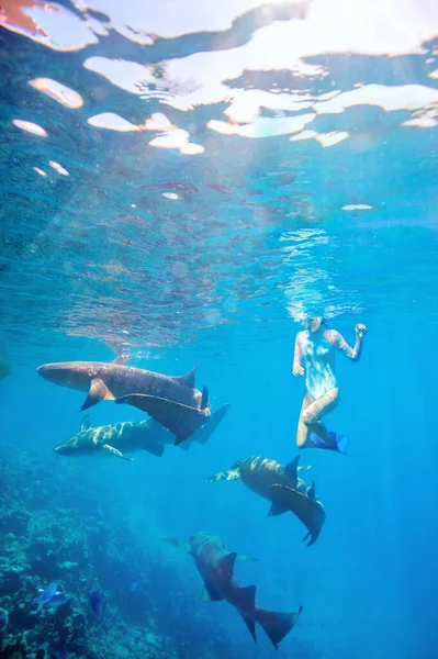 马尔代夫一名少女在清澈的热带水域中与护士鲨鱼一起潜水的水下照片 — 图库照片