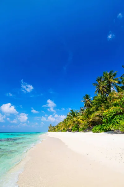 Belle Plage Tropicale Sur Une Île Exotique Aux Maldives — Photo