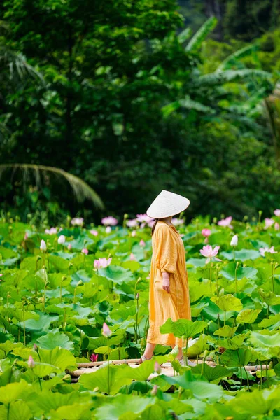 Bella Donna Vestita Giallo Cappello Conico Vietnamita Circondata Lago Con — Foto Stock