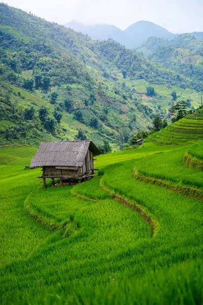 ベトナム北部の山と米のテラスの素晴らしい景色 — ストック写真