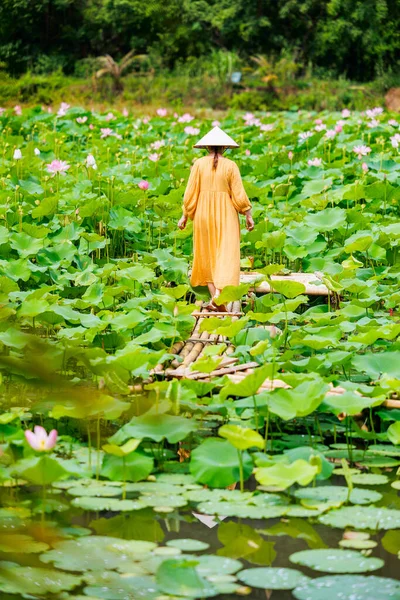 Belle Femme Portant Une Robe Jaune Chapeau Vietnamien Conique Entouré — Photo