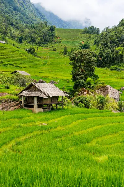 Εκπληκτικό Τοπίο Των Βουνών Και Ταράτσες Ρυζιού Στο Βόρειο Βιετνάμ — Φωτογραφία Αρχείου