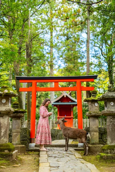 Όμορφη Τουριστική Γυναίκα Σίτιση Ενήλικα Ελάφια Sika Στο Πάρκο Nara — Φωτογραφία Αρχείου
