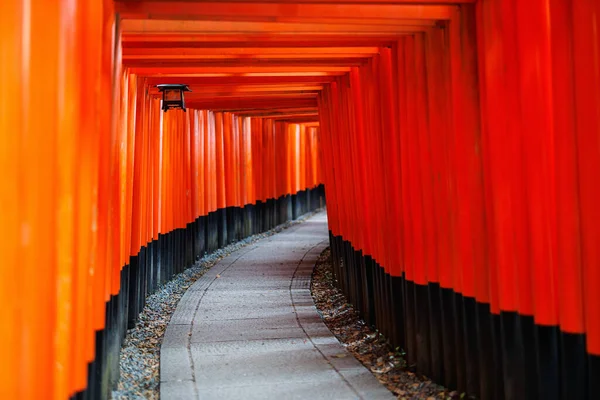 Vörös Torii Kapuk Fushimi Inari Szentélyében Kiotóban Japánban — Stock Fotó