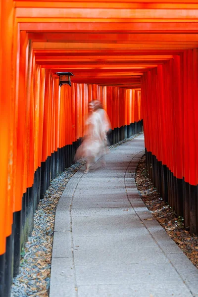 Hermosa Mujer Caminando Por Las Puertas Rojas Torii Santuario Fushimi —  Fotos de Stock