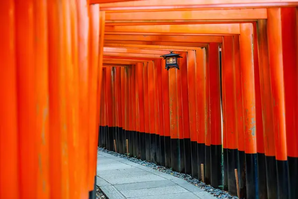 Puertas Rojas Torii Santuario Inari Fushimi Kyoto Japón —  Fotos de Stock