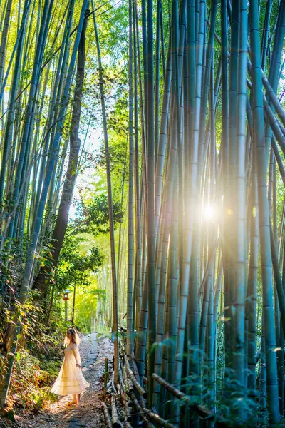 Schöne Kaukasische Frau Bambuswald Frühen Morgen Kyoto Japan lizenzfreie Stockfotos