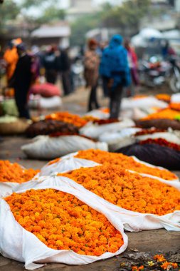 Jaipur Hindistan 'daki açık hava pazarında birçok kadife çiçeği tomurcuklanır.