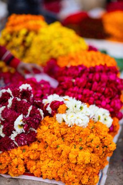 Jaipur Hindistan 'daki açık hava pazarında birçok kadife çiçeği tomurcuklanır.