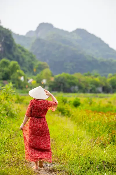 Vietnam 'da Ninh Binh' in pirinç tarlalarında yürüyen kırmızı elbiseli ve Vietnam koni şapkalı güzel bir kadın.