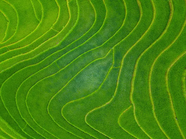 ベトナム北部の米テラスの素晴らしい景色 — ストック写真