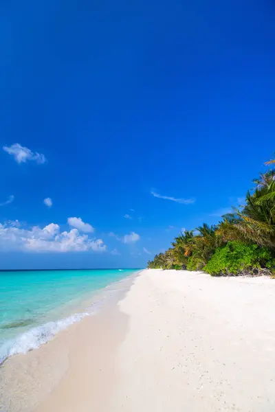 Bela Praia Tropical Ilha Exótica Maldivas Imagem De Stock