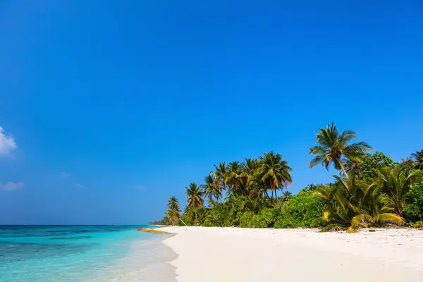 Bela Praia Tropical Ilha Exótica Maldivas Fotografias De Stock Royalty-Free