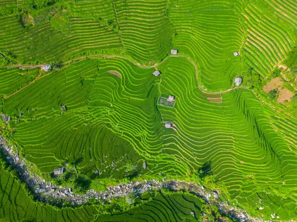 Cenário Deslumbrante Terraços Arroz Norte Vietnã Imagens Royalty-Free