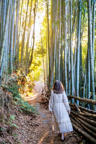 Smuk Kaukasisk Kvinde Bambus Skov Tidligt Morgenen Kyoto Japan Royaltyfrie stock-fotos