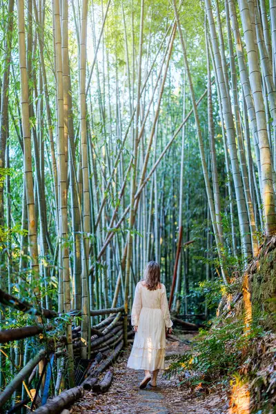 Schöne Kaukasische Frau Bambuswald Frühen Morgen Kyoto Japan Stockbild
