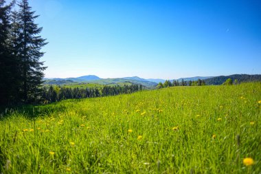 Gorce dağlarında bahar, Polonya