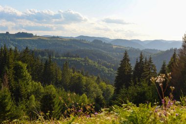 Ukrayna Karpatları 'nda yaz mevsimi