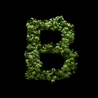 Büyük harf siyah arkaplandaki yeşil roka..