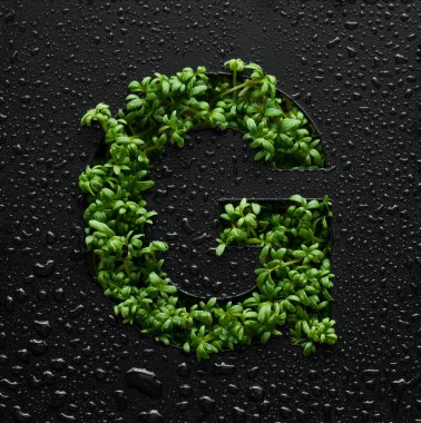 Büyük harf, su damlalarıyla kaplı siyah bir zemin üzerindeki yeşil roka lahanalarından oluşur..