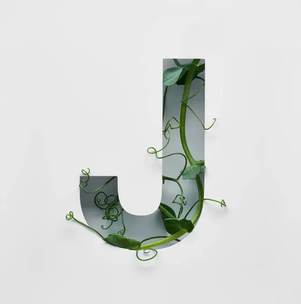 Lettera Maiuscola Decorata Con Giovane Germoglio Pisello Verde Sfondo Bianco — Foto Stock