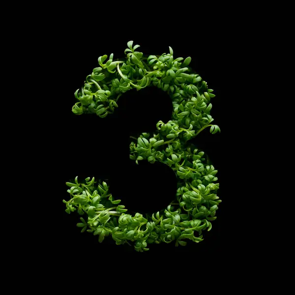 黒い背景に若い緑色のアルグラの芽から数が作成されます — ストック写真