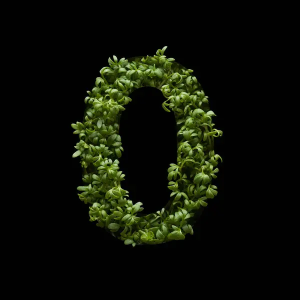 黒い背景に若い緑色のアルグラの芽から数が作成されます — ストック写真