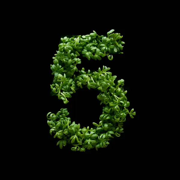 Number Created Young Green Arugula Sprouts Black Background — Stock Photo, Image