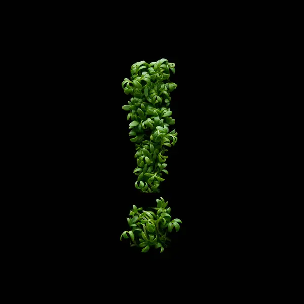 ブラックバックに若い緑色のアルギュラの芽から発見マークが作成されます — ストック写真
