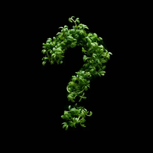 質問マークは黒い背景に若い緑のアルグラの芽から作成されます — ストック写真