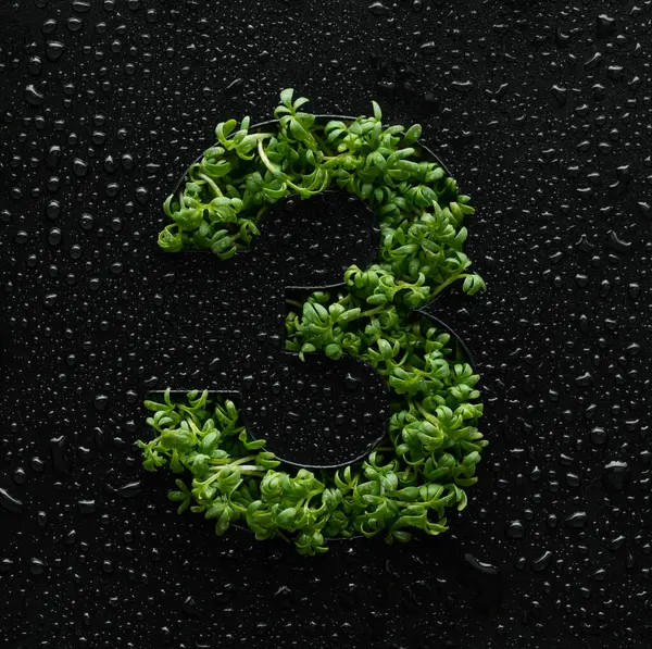Число Создается Молодых Зеленых Ростков Рукколы Черном Фоне Покрытом Капельками — стоковое фото