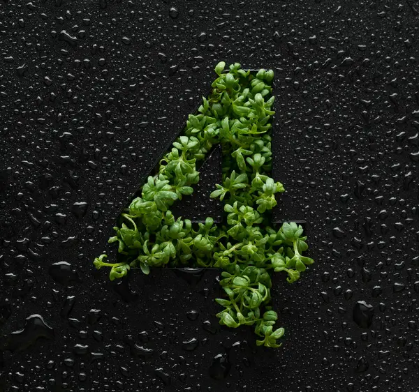 数量是由绿色的幼芽在覆盖有水滴的黑色背景上形成的 — 图库照片