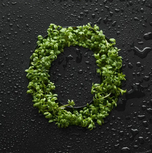 Capital Letter Created Young Green Arugula Sprouts Black Background Covered — Stock Photo, Image