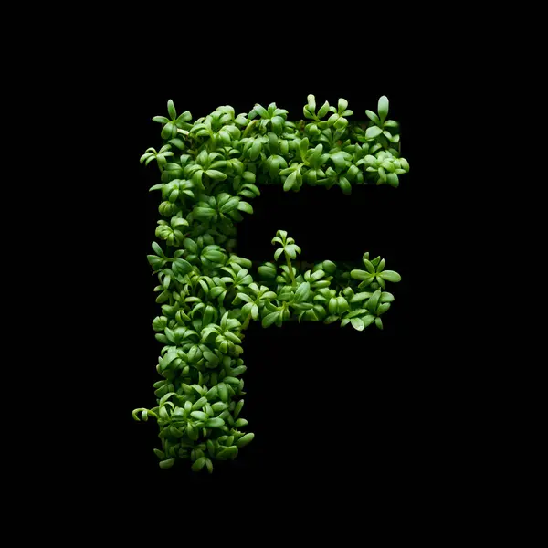 Capital Letter Made Green Arugula Black Background Stock Picture