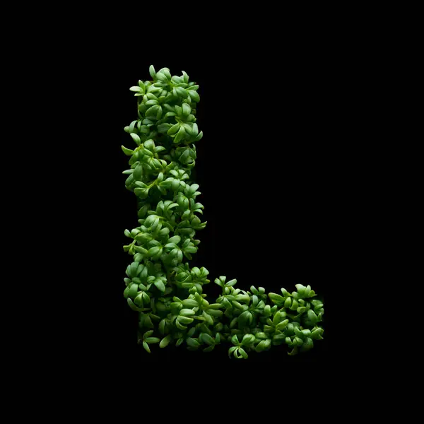 Столична Літера Зроблена Зеленої Руколи Чорному Тлі Ліцензійні Стокові Фото