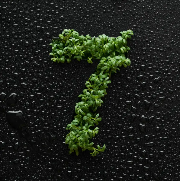 水滴で覆われた黒い背景に若い緑色のウルグラの芽から数が作成されます ストックフォト