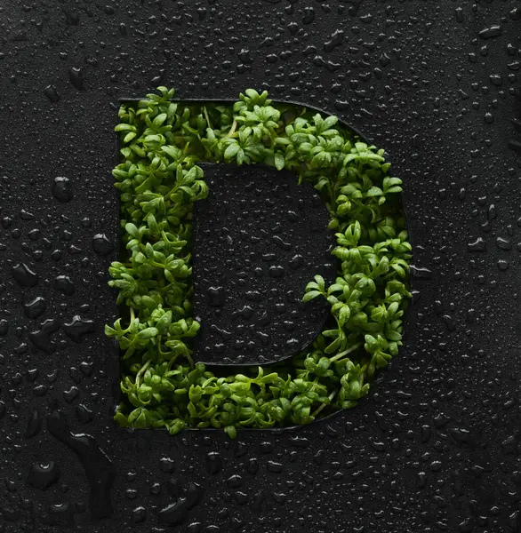 Большая Буква Создается Молодых Зеленых Ростков Рукколы Черном Фоне Покрытом Лицензионные Стоковые Изображения