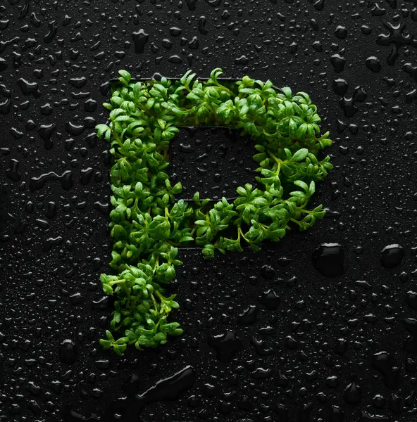 Большая Буква Создается Молодых Зеленых Ростков Рукколы Черном Фоне Покрытом Лицензионные Стоковые Фото
