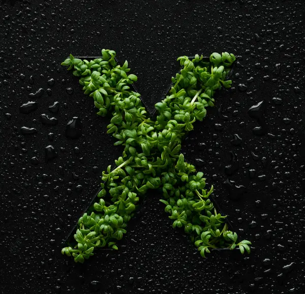 Capital Letter Created Young Green Arugula Sprouts Black Background Covered Royalty Free Stock Images