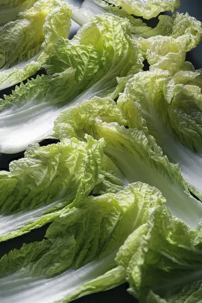 Young Lettuce Leaves Abstract Background Stock Image