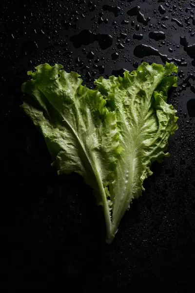 Junge Und Frische Salatblätter Auf Schwarzem Hintergrund Stockfoto