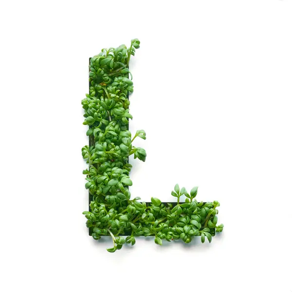 Capital Letter Created Young Green Arugula Sprouts White Background — Stock Photo, Image