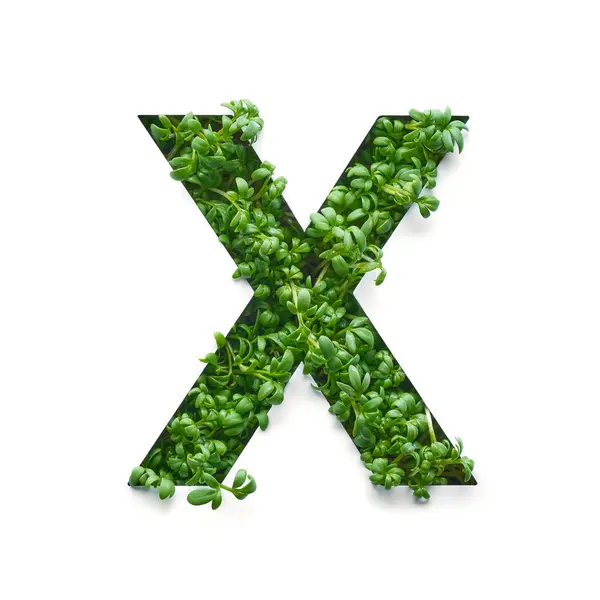 Capital Letter Created Young Green Arugula Sprouts White Background Εικόνα Αρχείου