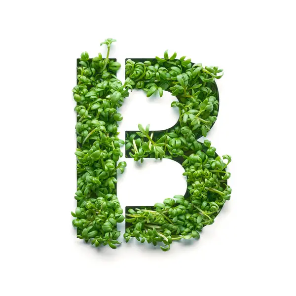 Capital Letter Created Young Green Arugula Sprouts White Background Stock Image