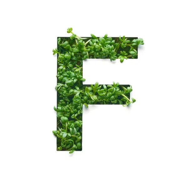 Capital Letter Created Young Green Arugula Sprouts White Background Φωτογραφία Αρχείου