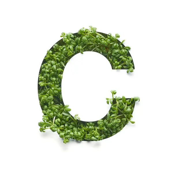 Capital Letter Created Young Green Arugula Sprouts White Background Royalty Free Stock Images
