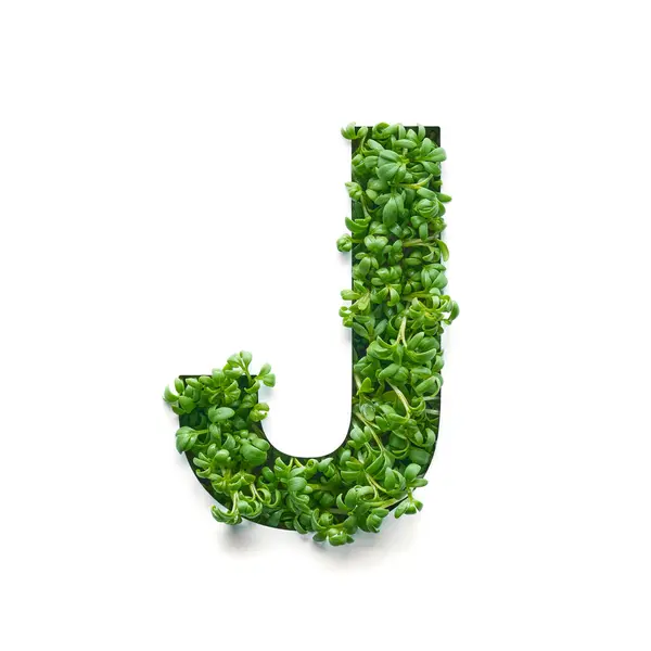 Capital Letter Created Young Green Arugula Sprouts White Background Stock Photo