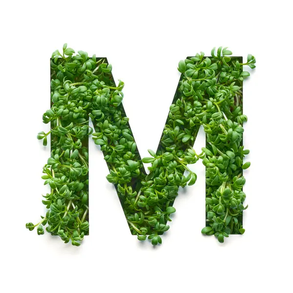 Capital Letter Created Young Green Arugula Sprouts White Background Royalty Free Stock Photos