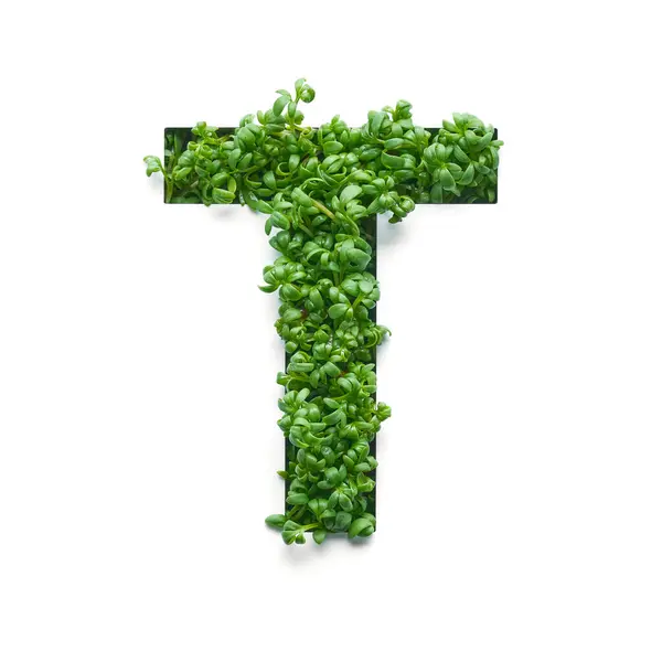 Capital Letter Created Young Green Arugula Sprouts White Background Stock Image